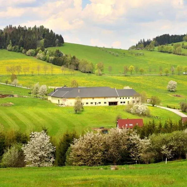 Rodinný penzion Jimramovské Pavlovice až 24 osob!, hotel v destinaci Věcov