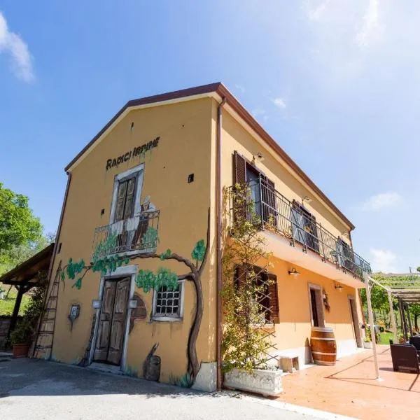 Agriturismo Radici Irpine, hotel Rocca San Felicében
