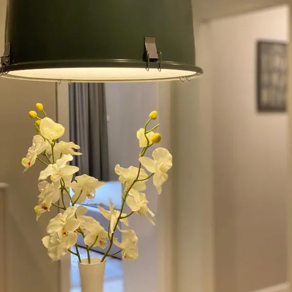 Apartman Teatar, hotel v destinaci Sombor