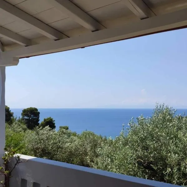 Elia house 1 astoning sea view among the olive trees, hotel v destinaci Patitiri