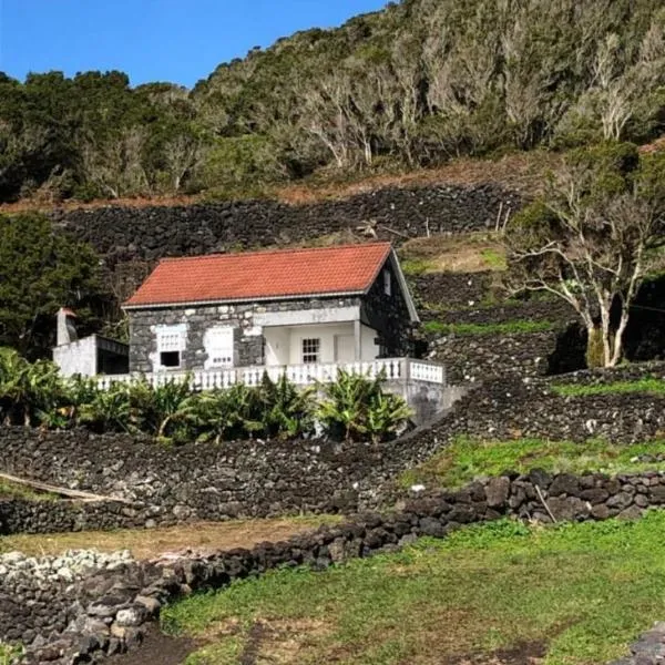 Adega do Golfinho, hotel en Calheta de Nesquim