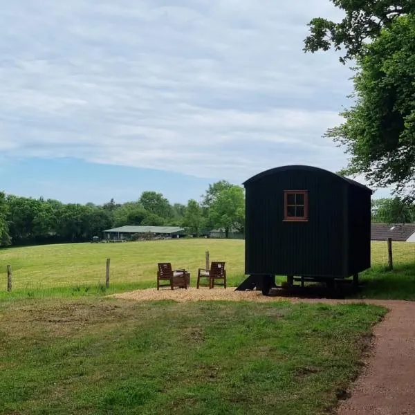 Shepherds hut surrounded by fields and the Jurassic coast, hotel di Bridport