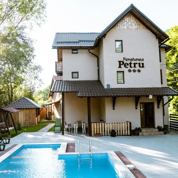 Pensiunea Petru, hotel in Şugag