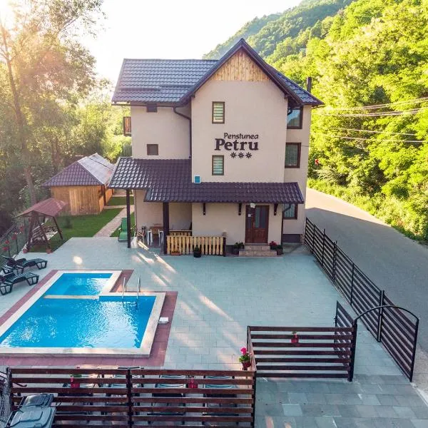 슈가그에 위치한 호텔 Pensiunea Petru