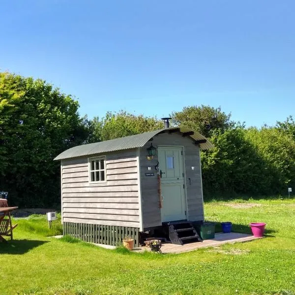 Shepherd's Lodge - Shepherd's Hut with Devon Views for up to Two People and One Smaller Dog, hotel in Wrangaton