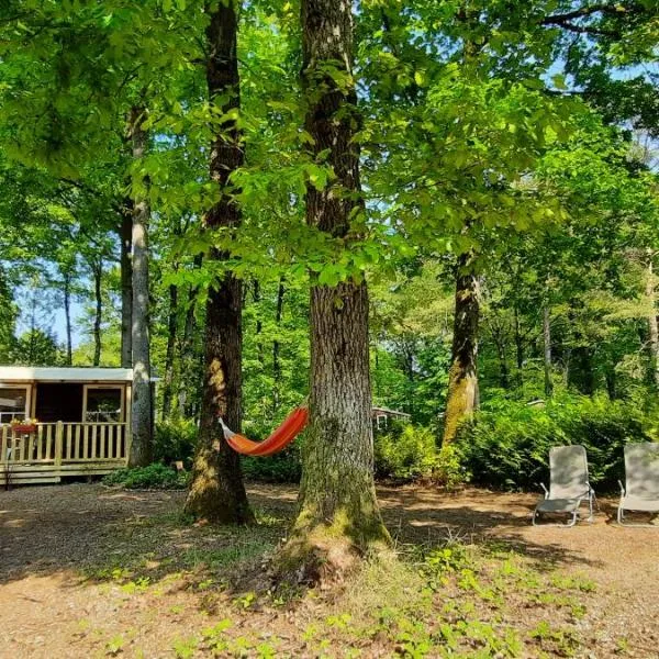 Mobil-Home 6 pers sur une grande parcelle, proche Paris camping 3 étoiles, hotel in Étréchy