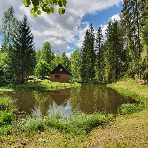 GRĪVIŅU pirts, hotel a Vaidava