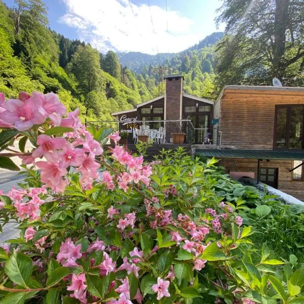 Ayder Gencal Villa, hotel in Ayder Yaylasi
