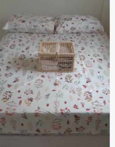 Apartamento Vila Aconchego Salmão - Foto 2