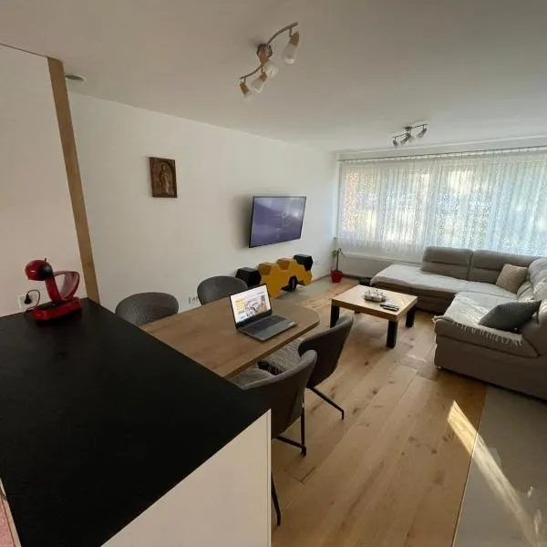 Delux apartment ARSO，韋萊涅的飯店