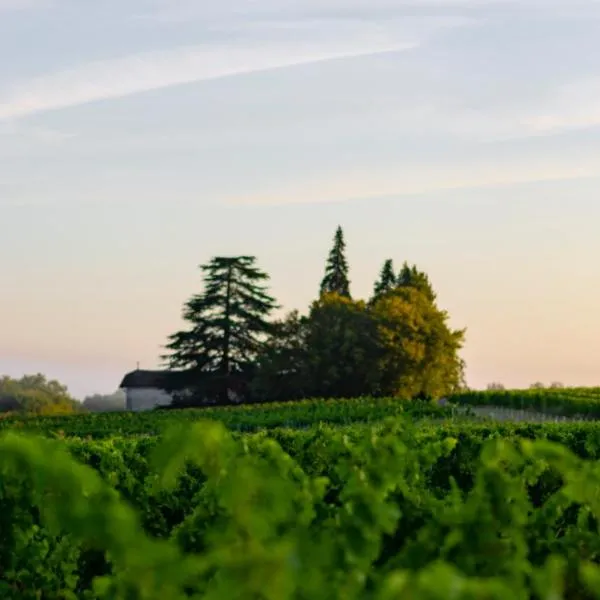 Vandenbeld Wines B&B, hotel en Carsac-de-Gurson