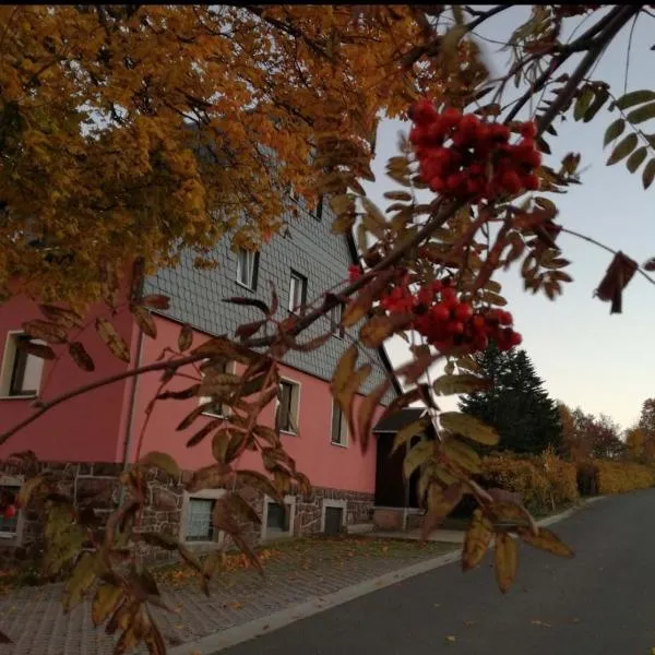 Ferienwohnung Zum Ausblick, отель в городе Gottgetreu