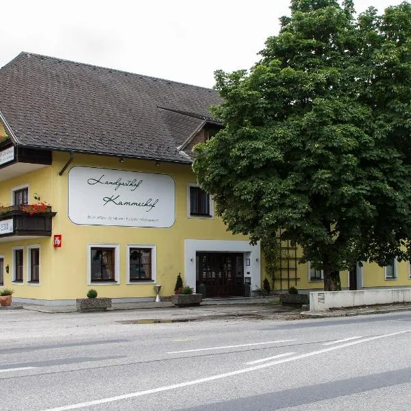 Landgasthof Kammerhof, hotel v destinaci Aigelsbach