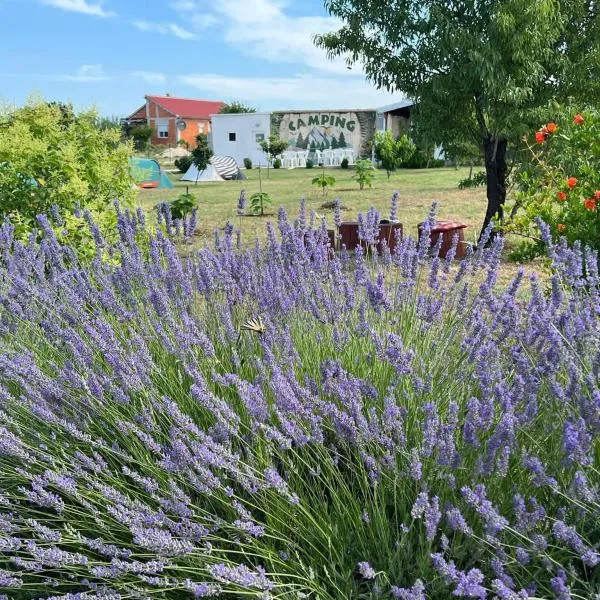 CAMPING LASTE, hotell i Smoković