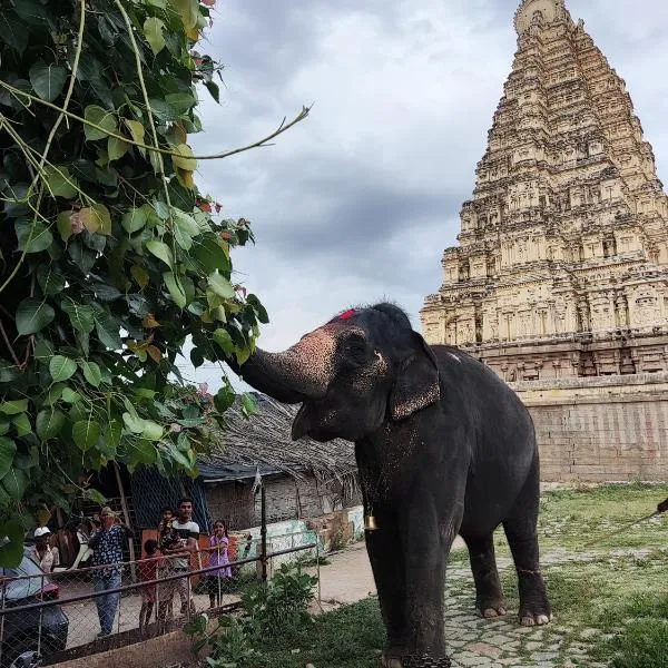 TEMPLE VIEW GUEST HOUSE, hotel a Hampi