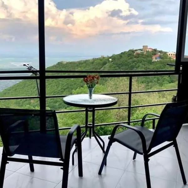 Hotel Martinichi, hotel en Signagi