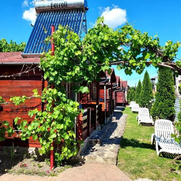 Cazare Ocna Sibiului, hotel v destinaci Ocna Sibiului