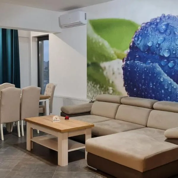 Apartament FIORE BLU ( vedere la mare si lac), hotel in Năvodari