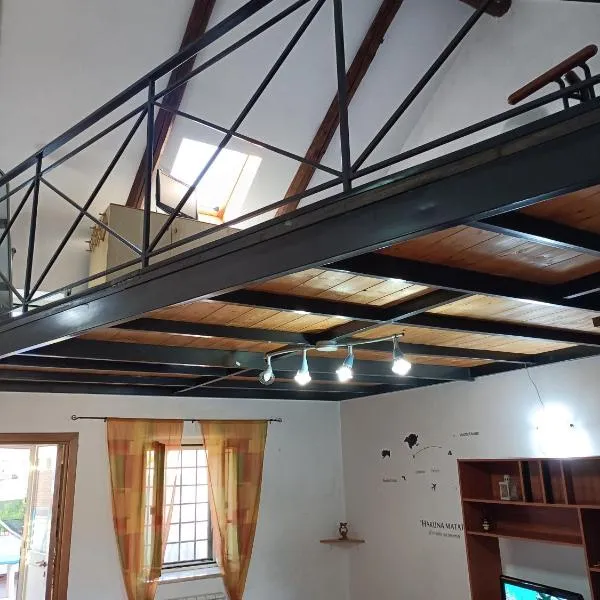 Hakuna Matata ,grazioso appartamento in centro, hotel v destinaci Caserta