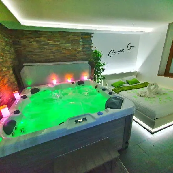COCOON SPA-4 Pers-Jacuzzi-Parking-Jardin-Clim-Colmar, hotel v destinaci Holtzwihr