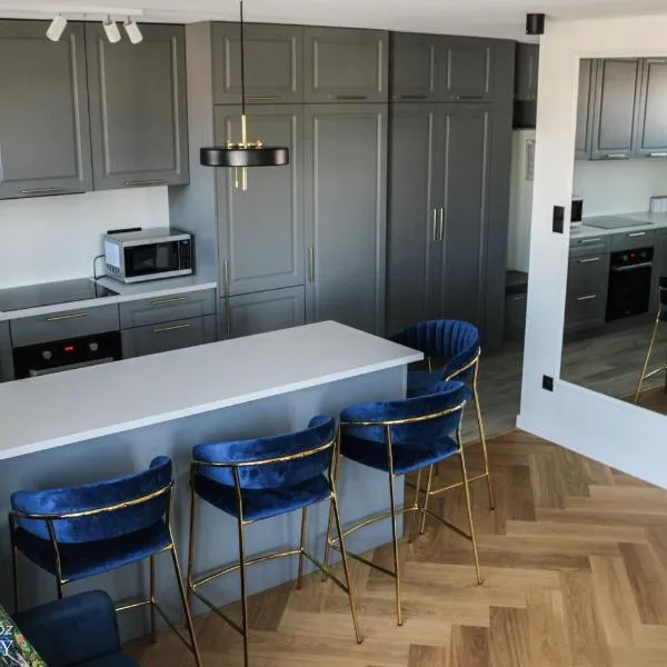 D Apartments "Z wizytą u Branickich"، فندق في بياويستوك