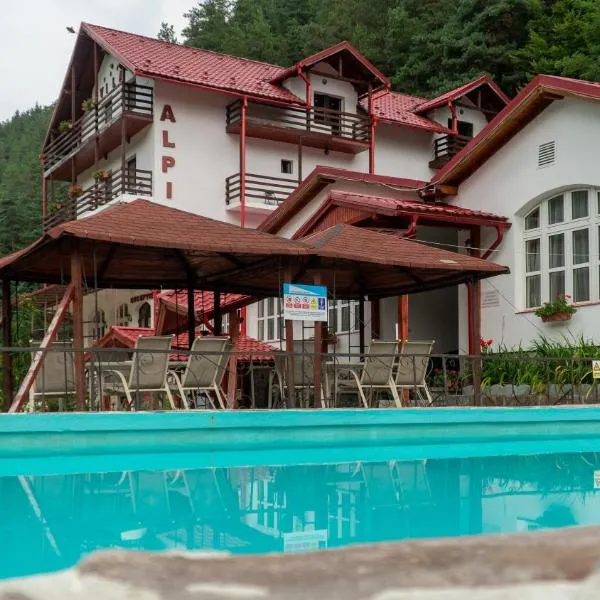 Pensiunea Alpin โรงแรมในปัลตินิช
