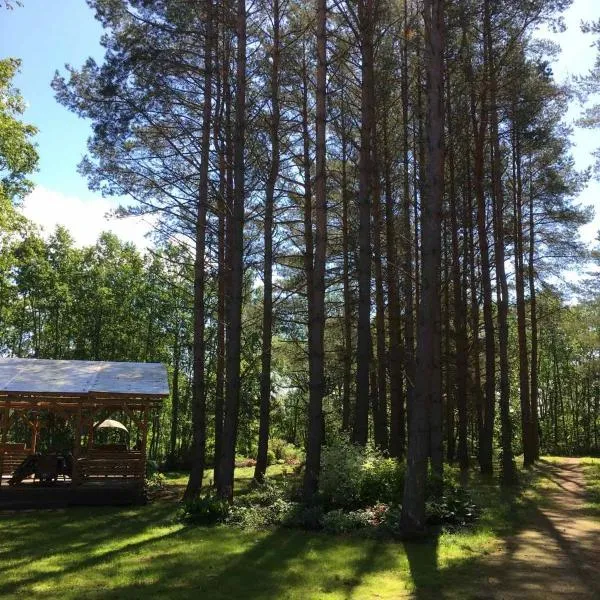 Reinholdi puhkemaja, hotel v destinaci Jabara