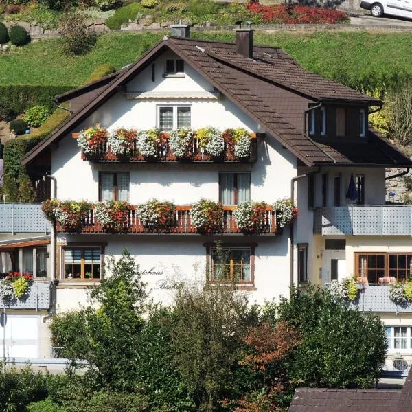Gästehaus und Ferienwohnung Bächle, hotel v destinaci Bad Peterstal