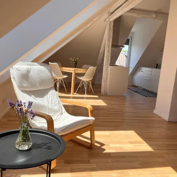 Apartment Malina - free private parking, hotel in Ljubljana