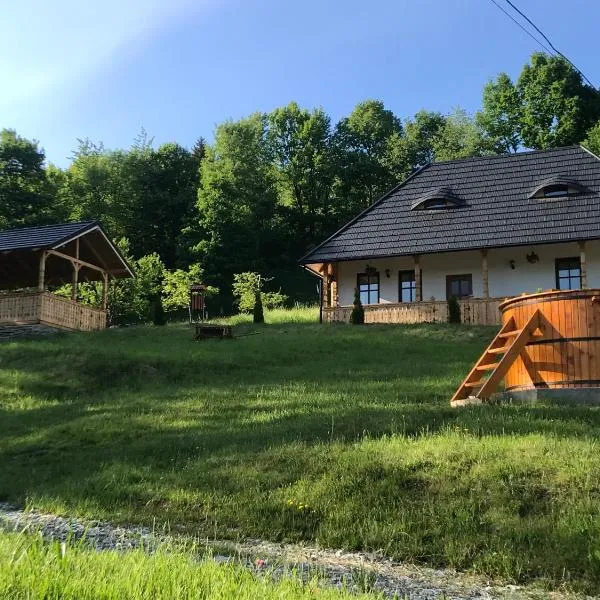 Casa Berg, hotel in Vişeu de Sus