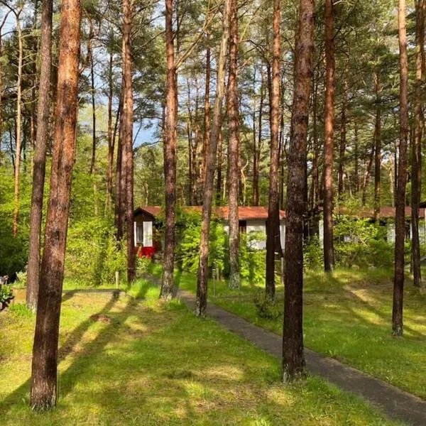 Bungalow im Kiefernwald direkt an der Ostsee (b), hotel in Karlshagen