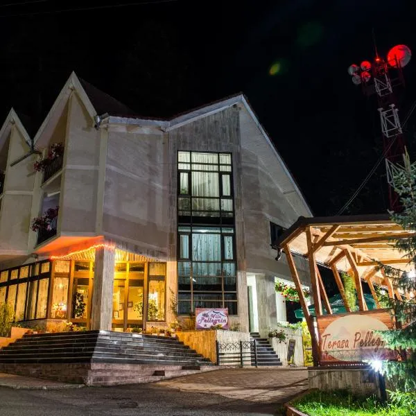 Vila Pellegrin, hotel v destinaci Durău