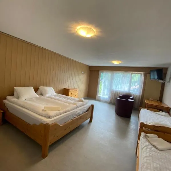 SKY Rooms, Mountainous View, hotel in Luzein