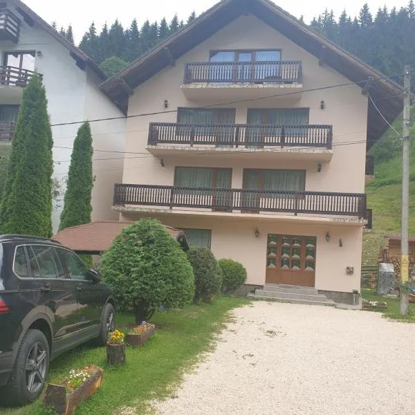 Pensiunea Bradul,Moieciu de Sus, Hotel in Moieciu de Sus