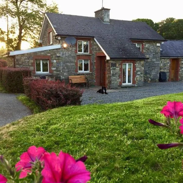 Dan Rua's Cottage, hotel v destinaci Cavan