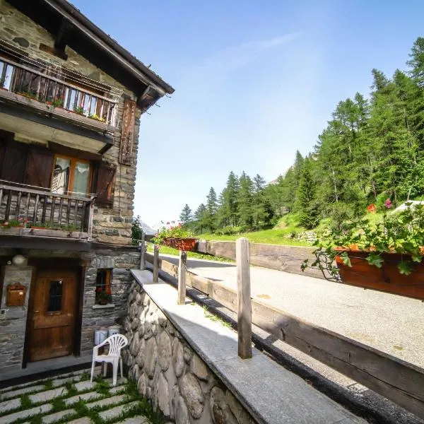 Antica casa di montagna Maison Bovard, хотел в Валгризенке