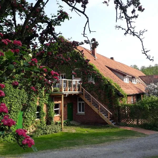 Schwalbennest, hotel Häuslingen városában