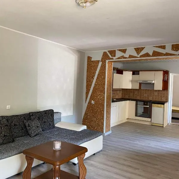 실루테에 위치한 호텔 Misko-5