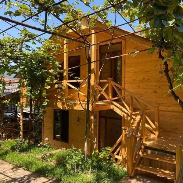 Guest House Okropilauri, hotel v destinaci Shuakhevi