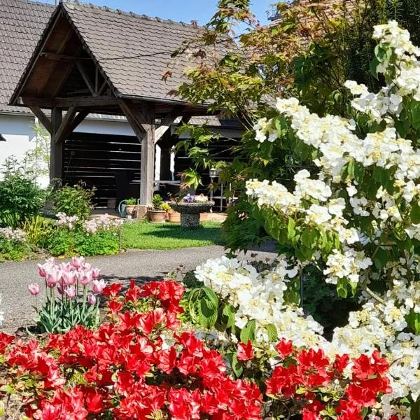Meublé tout confort à la campagne, hotel in Uhrwiller
