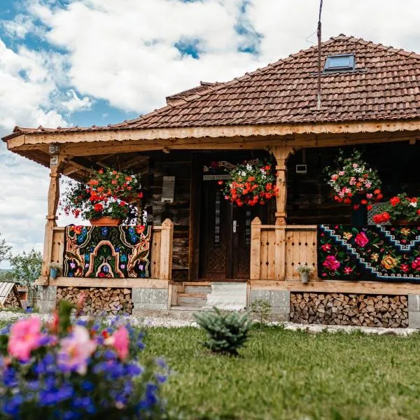 Casa de la Pârâu, hotel in Vişeu de Sus