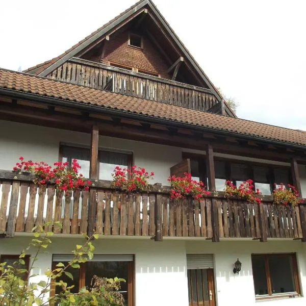 Pension Bergseeblick, Hotel in Titisee-Neustadt