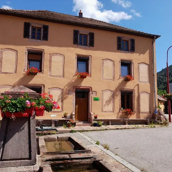 La maison du vannier, hotel in Raon-sur-Plaine