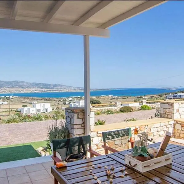 Gregos house, hotel Andíparoszban