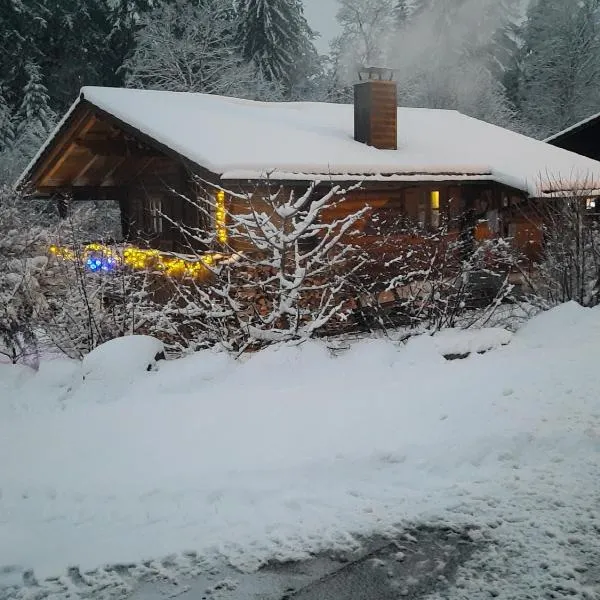 Hüttenzauber Ferienwohnung mitten im Nationalpark, hotel in Lindberg