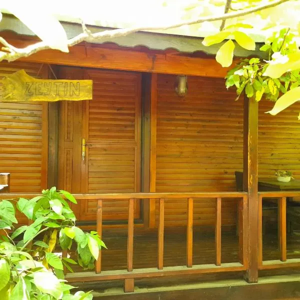 Endemik Bungalov, hotel Edremitben