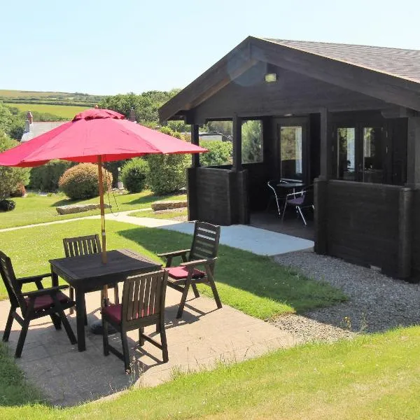 Hazel Lodge, hotel in Bodmin