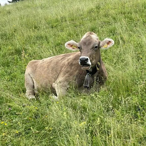 미센 윌햄스에 위치한 호텔 Schöne Aussichten