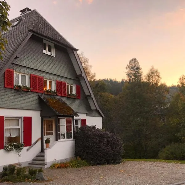 Haus Nagel, hotel in Hinterzarten