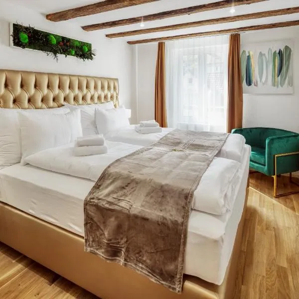 EH Apartments Saturn, hotel v destinaci St. Gallen